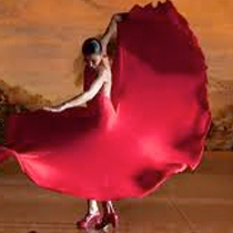 flamenco1